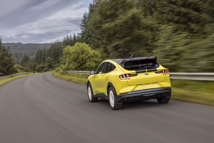 Khách hàng mua xe cũng có thể lựa chọn thêm gói nâng cấp hiệu năng Performance Upgrade có giá khoảng 995 Đô hoặc chỉ 745 Đô khi mua cùng với gói trang trí ngoại thất Bronze Appearance Package có giá 1.995 Đô. Phiên bản Mustang Mach-E Rally hàng đầu có giá khởi điểm từ 61.890 USD (tương đương 1,46 tỷ đồng).