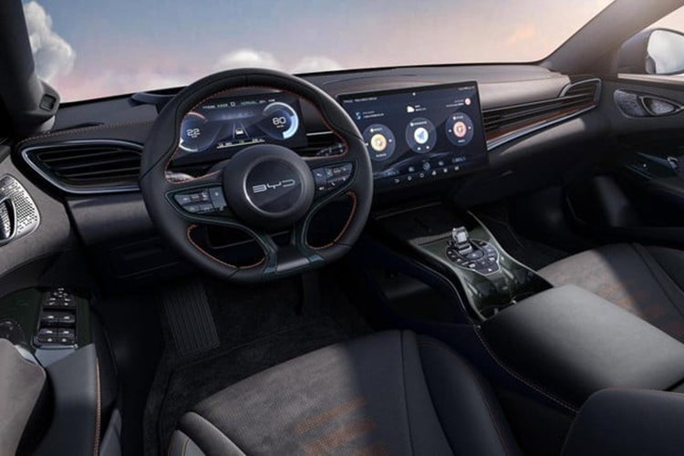 Hiện tại, dòng BYD Seal bao gồm Seal 06, Seal EV, Seal DM-i và Seal U (tên quốc tế của mẫu xe BYD Song Plus). Trong tháng 4, 14.269 xe thuộc dòng BYD Seal đã được bán ra, chiếm 10,26% doanh số hàng tháng của dòng Ocean, là 139.046 xe.