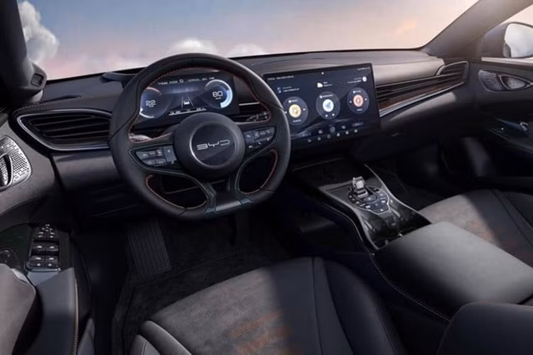 Hiện tại, dòng BYD Seal bao gồm Seal 06, Seal EV, Seal DM-i và Seal U (tên quốc tế của mẫu xe BYD Song Plus). Trong tháng 4, 14.269 xe thuộc dòng BYD Seal đã được bán ra, chiếm 10,26% doanh số hàng tháng của dòng Ocean, là 139.046 xe.