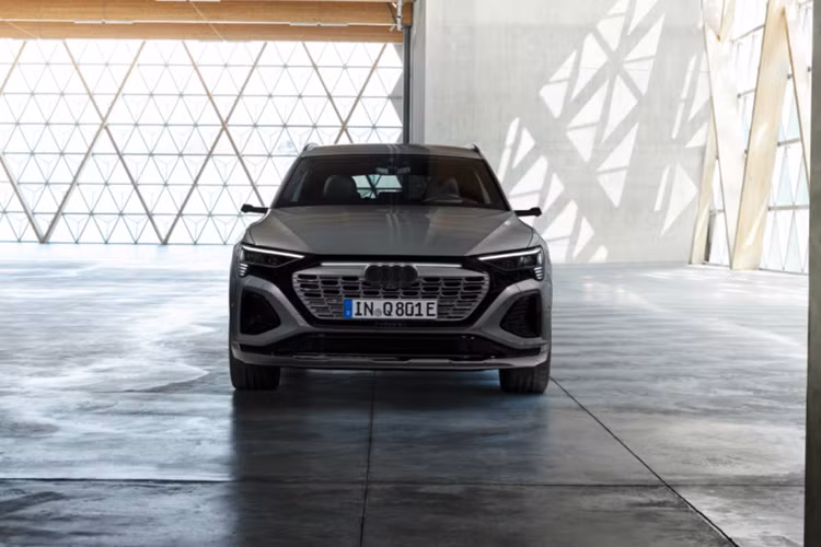Ở phiên bản Q8 50 e-tron quattro, xe dùng 2 mô-tơ điện nằm trên 2 cầu với công suất tổng cộng 335 mã lực và mô-men xoắn cực đại 664 Nm. Mô-tơ điện này kết hợp với cụm pin lithium-ion 89 kWh, cho phép xe có thể chạy được 491 km sau một lần sạc đầy pin.