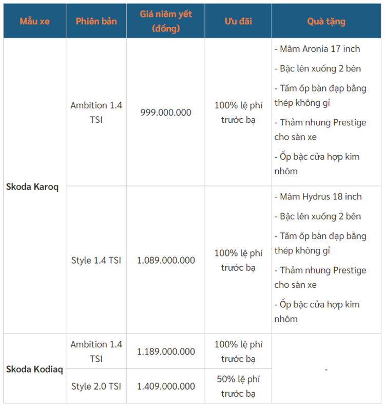 Skoda Kodiaq va Karoq tai Viet Nam duoc uu dai den 140 trieu dong-Hinh-4