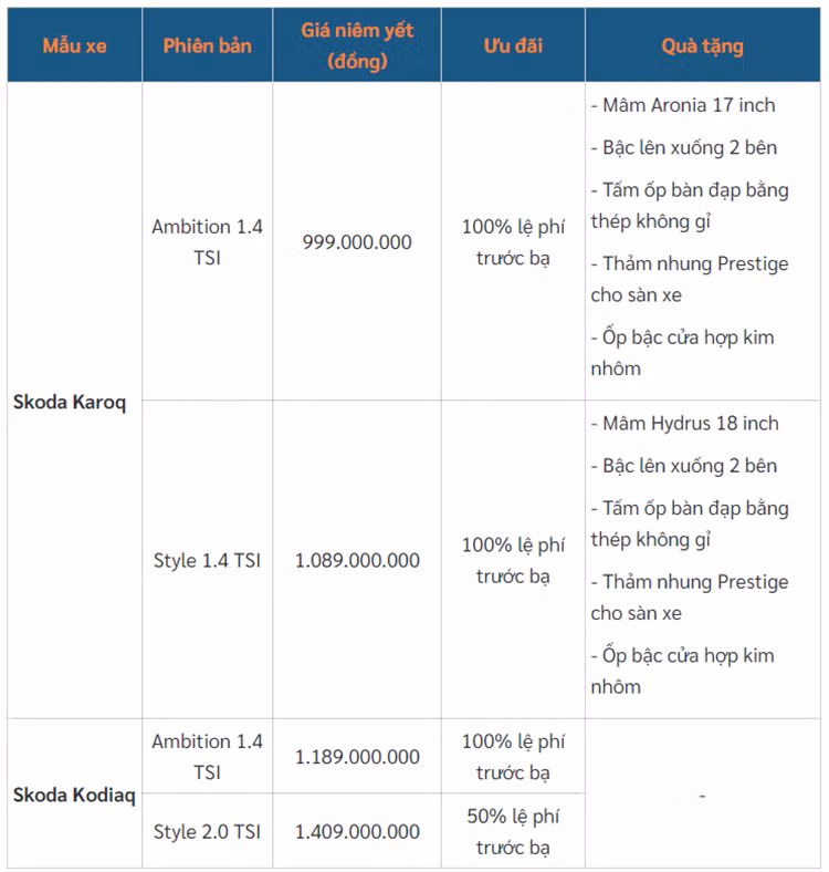 Skoda Kodiaq va Karoq tai Viet Nam duoc uu dai den 140 trieu dong-Hinh-4