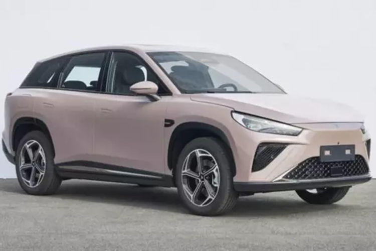 Thương hiệu xe điện Neta tại Trung Quốc được Hozon Auto ra mắt vào năm 2018. Dòng xe hiện tại của nó bao gồm bốn mẫu là Neta Aya, Neta X, Neta S và Neta GT. Trong số các mẫu xe này, Neta S là chiếc xe duy nhất có cả phiên bản chạy hoàn toàn bằng điện và phiên bản mở rộng phạm vi hoạt động (EREV).