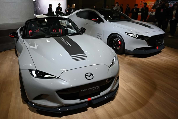 Phần lớn nội thất lại được trang trí bằng da lộn (hoặc Alcantara) và lắp đặt ghế thể thao Recaro có dây đai to bản. Cả hai chiếc xe đều được hoàn thiện với màu sơn xám có họa tiết sọc và decal màu đen, đi cùng các điểm nhấn màu đỏ và huy hiệu Spirit Racing trên cản và bánh xe.