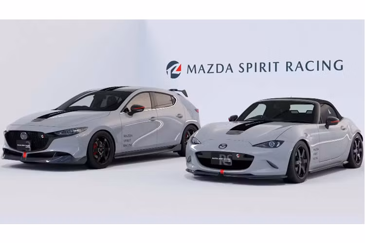 Trước đây hãng Nhật từng có các mẫu xe Mazdaspeed nhưng chúng đã bị ngưng phát triển từ 2013. Việc các đối thủ vẫn đang thể hiện tốt ở mảng xe thể thao như GR của Toyota hay Type R của Honda đã khiến ban lãnh đạo Mazda không thể ngồi yên.