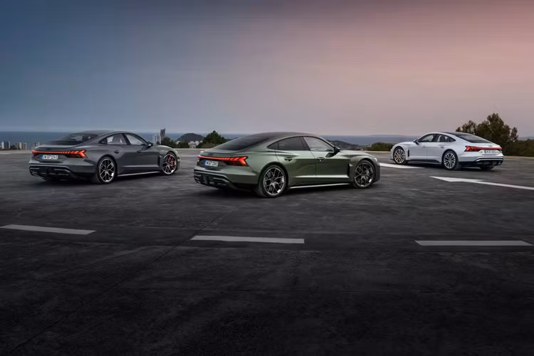 Tại châu Âu, giá xe Audi e-tron GT 2025 bắt đầu từ 126.000 euro (3,4 tỷ đồng) đối với bản tiêu chuẩn S e-tron GT. Bản RS e-tron GT 2025 có giá 147.500 euro (4 tỷ đồng) trong khi bản cao cấp nhất RS e-tron GT Performance 2025 có giá 160.500 euro (4,4 tỷ đồng).