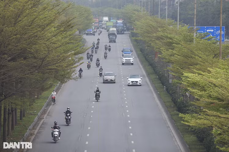 Hàng cây bàng lá nhỏ tại một đoạn đường dẫn lên nút giao QL5 và QL1A. Đây là nút giao quan trọng hiện đại bậc nhất ở cửa ngõ phía Đông Hà Nội.