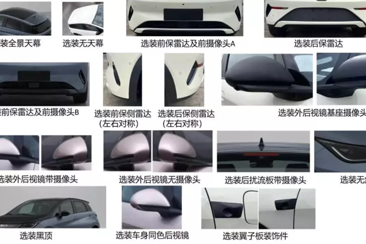 Hơn nữa, ba tùy chọn động cơ đồng bộ nam châm vĩnh cửu đã được công bố cho hệ thống truyền động, sẽ là có công suất 70 kW (94 mã lực), 130 kW (174 mã lực) và 150 kW (201 mã lực). Toàn bộ sẽ tiếp tục sử dụng bộ pin Blade LFP của BYD. Tốc độ tối đa là 150 km/h và 160 km/h, tùy thuộc vào từng phiên bản.