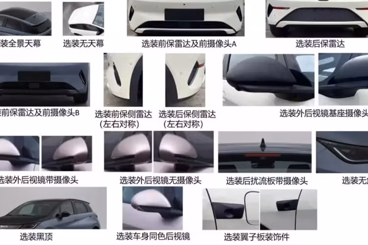 Hơn nữa, ba tùy chọn động cơ đồng bộ nam châm vĩnh cửu đã được công bố cho hệ thống truyền động, sẽ là có công suất 70 kW (94 mã lực), 130 kW (174 mã lực) và 150 kW (201 mã lực). Toàn bộ sẽ tiếp tục sử dụng bộ pin Blade LFP của BYD. Tốc độ tối đa là 150 km/h và 160 km/h, tùy thuộc vào từng phiên bản.