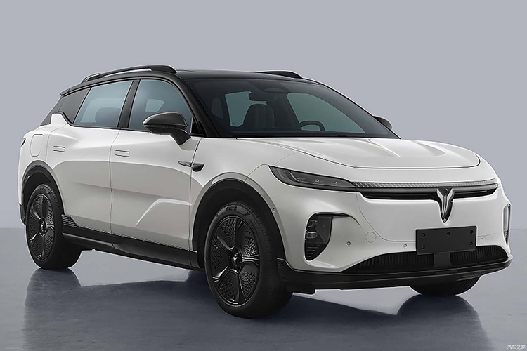 Voyah Zhiyin là một phần thiết yếu của chiến lược Let's Voyah, với mục tiêu đưa thương hiệu này được bán tại 60 quốc gia trên sáu châu lục với doanh số hàng năm là 500.000 xe vào năm 2030. Đây cũng là chiếc SUV đầu tiên của thương hiệu này có vẻ ngoài thông thường hơn.