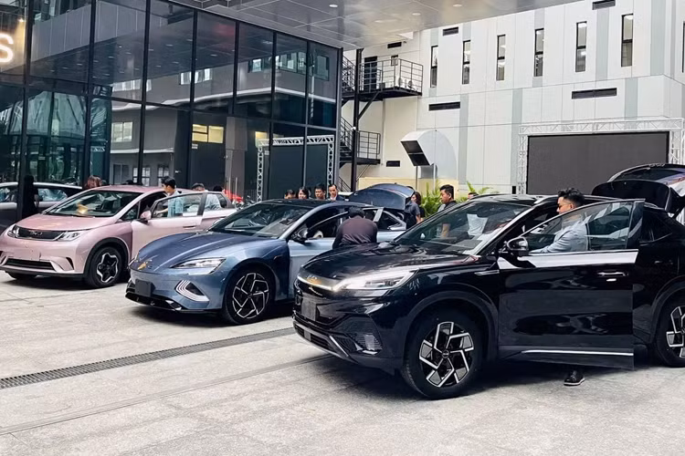 Thời điểm ra mắt có thể là vào ngày 16/6 tới đây. Trước thời điểm ra mắt, hãng xe Trung Quốc đã hé lộ bảng thông số kỹ thuật với nhiều thông tin đáng chú ý của mẫu hatchback cỡ C - Dolphin. Theo đó, BYD Dolphin 2024 mới sẽ được phân phối tại nước ta với một phiên bản GLX.