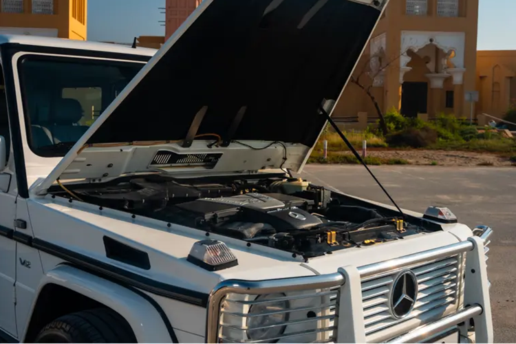 Mặc dù ban đầu, con số “63” biểu thị cho động cơ V8 6.2 lít mạnh mẽ dưới mui xe nhưng chiếc AMG G63 được trang bị động cơ V12 này sử dụng động cơ 12 xi-lanh 6.3 lít, tạo ra công suất khoảng 440 mã lực và kết hợp với hộp số tự động năm cấp.