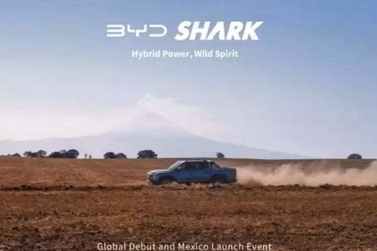 Phần hông xe bán tải điện BYD Shark 2024 có vẻ hầm hố và cơ bắp với hốc bánh xe, gương chiếu lớn và thềm cửa rộng. Phía đuôi xe được thiết kế đơn giản hơn đầu xe với đèn hậu đi cùng thanh đèn LED chạy giữa. Cột C của xe được tô điểm bằng một dải màu đen, nối liền với kính cửa sổ bên giúp xe nhìn cá tính và thể thao hơn.
