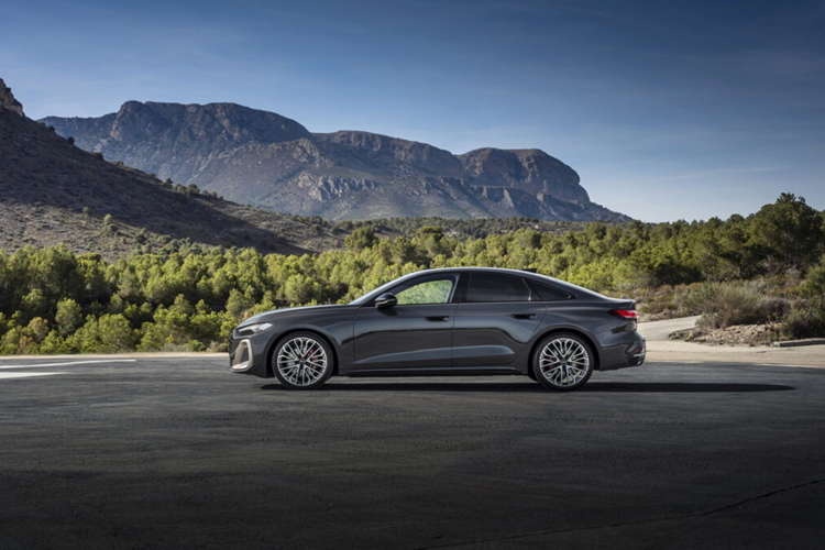 Các mẫu A5 và S5 theo thông số kỹ thuật tại Hoa Kỳ đạt tiêu chuẩn với cửa sổ trời toàn cảnh màu, các gói trang trí cao hơn có mái che điện có thể điều chỉnh độ sáng có thể điều chỉnh thành sáu đoạn màu.