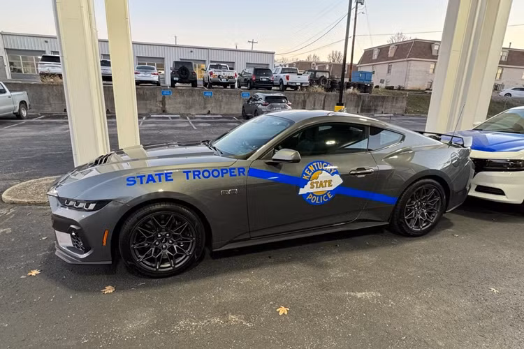 Tại Mỹ, Ford Mustang GT có mức giá khởi điểm từ 42.495 USD cho bản tiêu chuẩn và 47.015 USD cho phiên bản Premium. Hiện tại, thế hệ mới nhất của dòng xe thể thao này vẫn chưa có mặt tại Việt Nam.