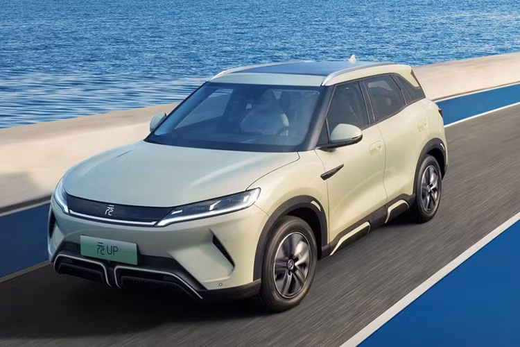 Theo Carsnewchina nhận định, BYD dường như đang theo đuổi thị phần hơn là lợi nhuận. Đây là chiến thuật kinh doanh điển hình của các doanh nghiệp Trung Quốc, khi các hãng cạnh tranh với nhau gay gắt dẫn đến không bên nào thu được lợi nhuận và đến sau cùng, không ai thực sự là kẻ chiến thắng.