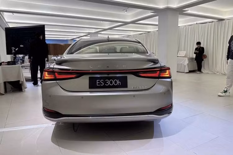 Trong khi nhiều xe sedan đang vật lộn với tình hình doanh số ảm đạm, ES vẫn tiếp tục giữ vững vị thế của mình. Trên thực tế, đây không chỉ là xe du lịch bán chạy nhất của Lexus mà còn là mẫu xe bán chạy thứ ba của thương hiệu nói chung, với doanh số tăng gần 5% trong năm nay tính đến tháng 9, đạt tổng cộng 30.284 xe.