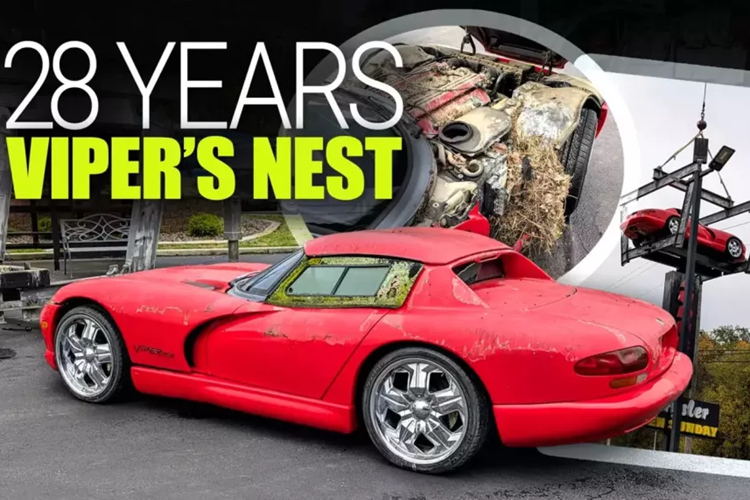 Trong gần 30 năm, một chiếc Dodge Viper làm biển quảng cáo đậu trên cao thành một biển hiệu của đại lý xe ở Kentucky, Mỹ đã trở thành một tượng đài kỳ lạ, cao ngất ngưởng cho sức mạnh cơ bắp và nghệ thuật tiếp thị của Mopar. Nhưng giờ đây, chiếc xe mui trần màu đỏ đã trở lại mặt đất. Lốp xe thể thao V10 chỉ tiếp xúc với không khí một lần trong 28 năm và đó là để làm mới 15 năm trước.