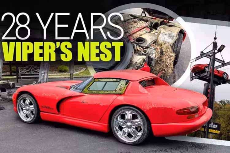 Trong gần 30 năm, một chiếc Dodge Viper làm biển quảng cáo đậu trên cao thành một biển hiệu của đại lý xe ở Kentucky, Mỹ đã trở thành một tượng đài kỳ lạ, cao ngất ngưởng cho sức mạnh cơ bắp và nghệ thuật tiếp thị của Mopar. Nhưng giờ đây, chiếc xe mui trần màu đỏ đã trở lại mặt đất. Lốp xe thể thao V10 chỉ tiếp xúc với không khí một lần trong 28 năm và đó là để làm mới 15 năm trước.