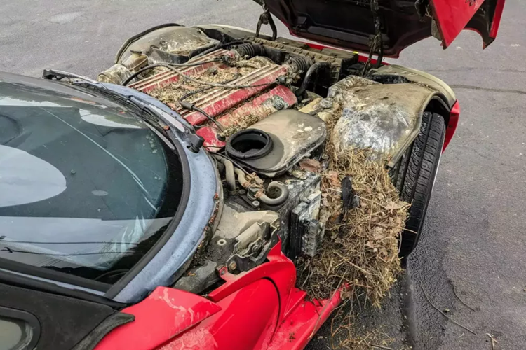 Những bức ảnh về phiên bản thứ hai của Viper RT/10 thế hệ đầu tiên (sản xuất từ năm 1996 đến năm 2002) thích nghi với cuộc sống ở độ cao thấp hơn tại bãi xe Audubon như một lời nhắc nhở về lý do tại sao hầu hết những người có xe đẹp không để chúng ở bên ngoài, ngay cả ở những tiểu bang có điều kiện thời tiết ít khắc nghiệt hơn.