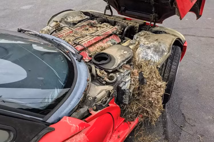 Những bức ảnh về phiên bản thứ hai của Viper RT/10 thế hệ đầu tiên (sản xuất từ năm 1996 đến năm 2002) thích nghi với cuộc sống ở độ cao thấp hơn tại bãi xe Audubon như một lời nhắc nhở về lý do tại sao hầu hết những người có xe đẹp không để chúng ở bên ngoài, ngay cả ở những tiểu bang có điều kiện thời tiết ít khắc nghiệt hơn.