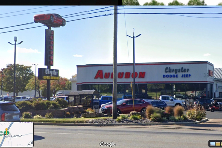 Một lượng lớn rơm phía sau bánh trước của Dodge Viper đời 1996 cho thấy chim đã bò vào lỗ thông hơi phía trước cửa để trú ẩn khỏi mèo và thời tiết, và động cơ V10 được phủ một lớp chất nhờn màu nâu trông khá khó chịu.