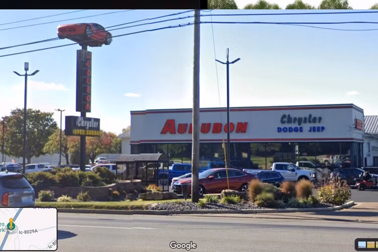 Một lượng lớn rơm phía sau bánh trước của Dodge Viper đời 1996 cho thấy chim đã bò vào lỗ thông hơi phía trước cửa để trú ẩn khỏi mèo và thời tiết, và động cơ V10 được phủ một lớp chất nhờn màu nâu trông khá khó chịu.