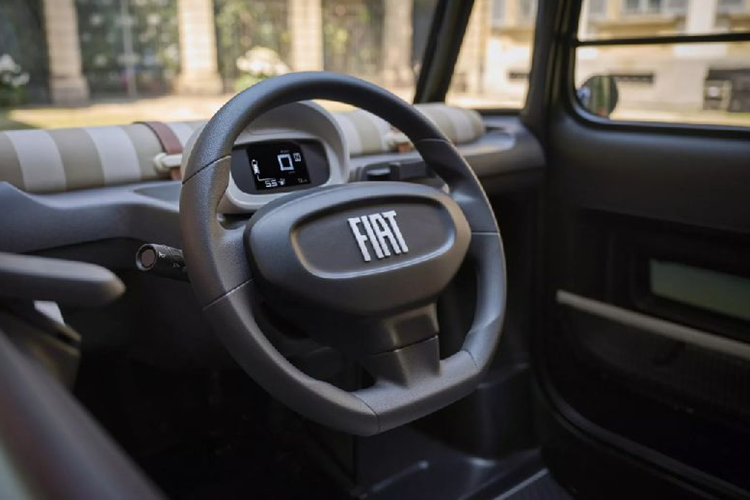 Topolino là một trong những mẫu xe mang tính biểu tượng của Fiat – một thương hiệu đến từ Italia. Mẫu xe này ra đời từ năm 1936, với mẫu mới nhất được phát triển bởi một nhóm chuyên gia tại Centro Stile Fiat, Italia.