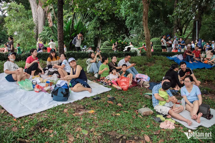 Go vuong 800 ty thue dat cho Thao Cam Vien Sai Gon