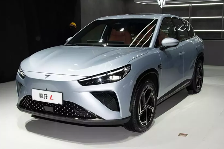 Neta là thương hiệu xe NEV phổ thông của Trung Quốc được Hozon Auto ra mắt vào năm 2018. Hiện tại hãng bán 5 mẫu: Aya, X, S, GT và L. Chiếc xe mới nhất là Neta L EV 2024 mới. Ban đầu nó được ra mắt dưới dạng EREV (bộ mở rộng phạm vi với động cơ xăng làm máy phát điện) vào tháng 4 năm nay.