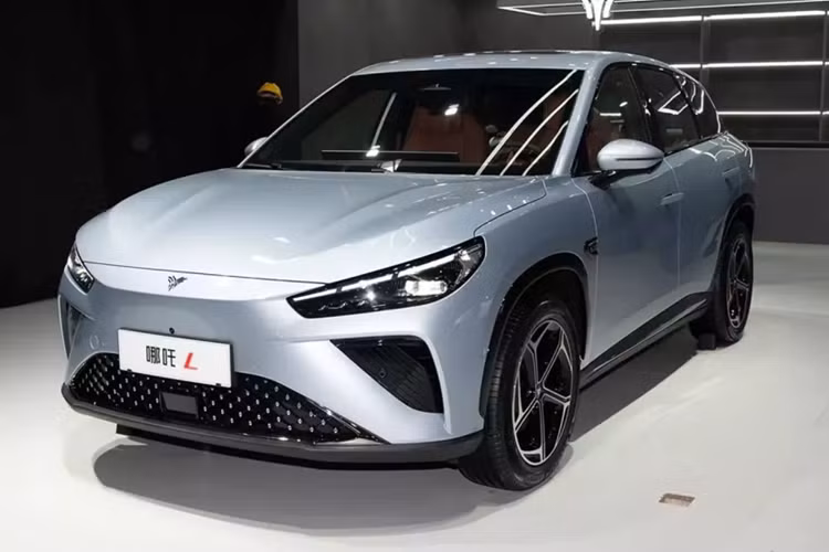 Neta là thương hiệu xe NEV phổ thông của Trung Quốc được Hozon Auto ra mắt vào năm 2018. Hiện tại hãng bán 5 mẫu: Aya, X, S, GT và L. Chiếc xe mới nhất là Neta L EV 2024 mới. Ban đầu nó được ra mắt dưới dạng EREV (bộ mở rộng phạm vi với động cơ xăng làm máy phát điện) vào tháng 4 năm nay.