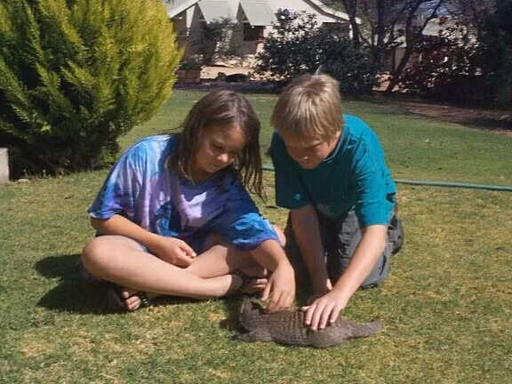 Thay vì nuôi mèo, người Ấn Độ và Pakistan thường nuôi cầy mangut để bắt chuột. Ngoài ra, Hawaii và Puerto Rico cũng được quyền nuôi loài này trong nhà.