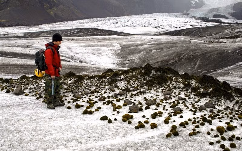 Cuối cùng, rêu rơi khỏi lớp vật chất đó, nhưng lớp vật chất lại được gió đưa đi, lăn trên bề mặt những hòn băng giống như cây cỏ lăn, để lại một lớp bụi và chất hữu cơ tạo điều kiện cho rêu phát triển khắp các mặt còn lại.