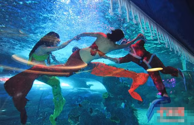Hay như ông già Noel khiêu vũ cùng các nàng tiên cá ở công viên thế giới nước tại Tế Nam cũng khiến nhiều người ngạc nhiên thích thú.