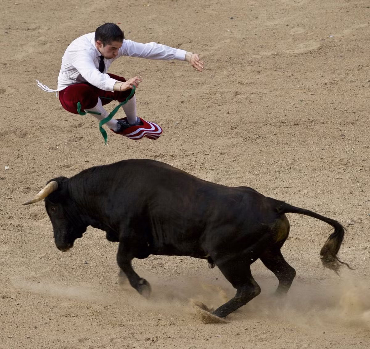 Người tham gia thi đấu buộc phải sử dụng kỹ năng nhào lộn và nhảy cao để có thể tránh được sự tấn công của đối thủ bò.