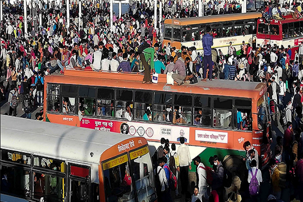 Tham hoa nhan dao tai An Do sau lenh phong toa vi dich COVID-19-Hinh-2