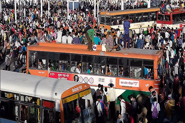 Tham hoa nhan dao tai An Do sau lenh phong toa vi dich COVID-19-Hinh-2