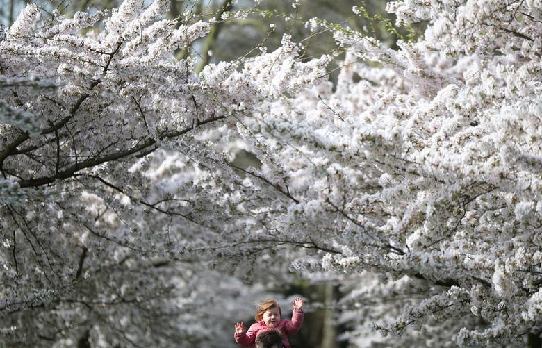 Em nhỏ thích thú khi được đưa tới Công viên Battersea, London (Anh), ngày 21/3.