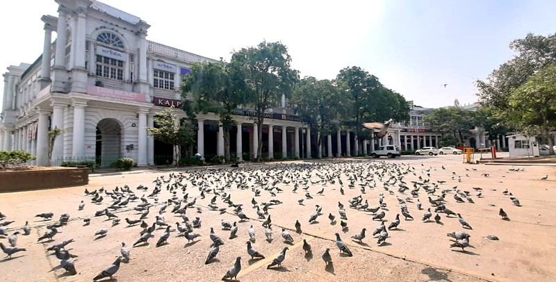 Đường phố vắng lặng và toàn bộ các cửa hàng đóng cửa tại khu vực Connaught Place, trung tâm thủ đô New Delhi. Ngày thường, đây là một trong những khu vực nhộn nhịp nhất của thành phố, nơi tập trung các công sở của Chính phủ, văn phòng doanh nghiệp, khu mua sắm. Đây là nỗ lực của người dân Delhi nhằm hỗ trợ chính phủ đương đầu với Covid-19. (Ảnh: ANI)