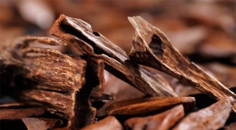 Theo Business Insider, trầm hương loại một có giá lên tới 100.000 USD/kg (khoảng hơn 2,3 tỷ VND). Tại Việt Nam, trầm hương phân bố nhiều tại Thanh Hóa, Hà Tĩnh, Nghệ An, Khánh Hòa.