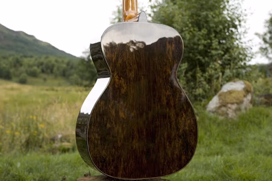 Loại gỗ này vô cùng quý hiếm, đang có nguy cơ tuyệt chủng vì cây African Black Wood bị khai thác quá nhiều. Gỗ này thường được dùng để làm các loại nhạc cụ đặc biệt là ghi-ta.