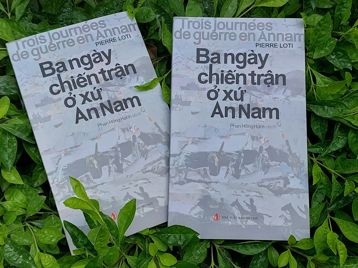Qua những trang đầu, chúng ta bị chấn động bởi giọng điệu lạnh lùng của ông quan hai trong một hạm đội, ông đã mô tả cách tổ chức cuộc đổ bộ một cách rất quy củ. Thôi thì tính lạnh lùng của một quân nhân chúng ta có thể cho qua được. Nhưng tiếp theo, sự lạnh lùng đó đã làm cho chúng ta ít nhiều khó chịu khi ông Pierre Loti đã tả trận đánh như một vở kịch. Ông viết: “Chúng tôi có được đặc ân ngồi ở vị trí ưu thế để theo dõi tất cả diễn biến của cuộc tấn công…”.