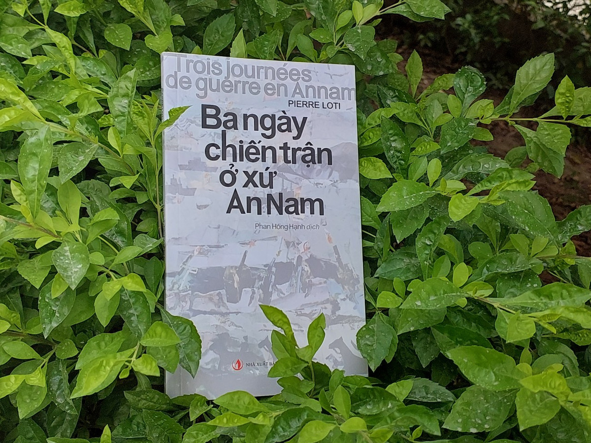 Nhưng, hy vọng lại hé mở khi giọng điệu chính xác, tỉ mỉ, lạnh lùng để mô tả sức tàn phá của cuộc tấn công “Người ta chém giết gần như với một niềm vui,…” đã biến mất một cách nhanh chóng. Vài dòng tiếp theo, may thay, ông đã thêm: “Tất cả những sự kiện đó đã diễn ra rất nhanh, quá nhanh, chỉ trong vòng vài giây, bây giờ từ từ diễn lại với đầy đủ những chi tiết tàn bạo…”.