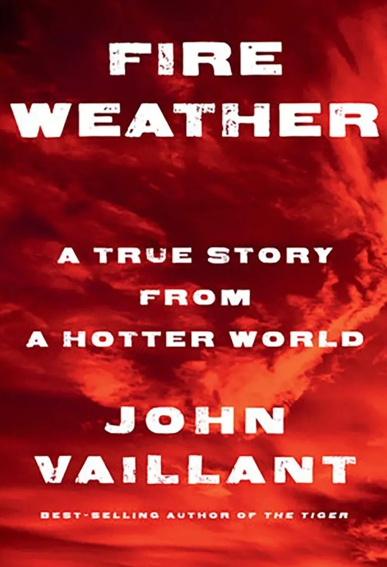 10 cuon sach hay nhat 2023 theo binh chon cua New York Times-Hinh-8