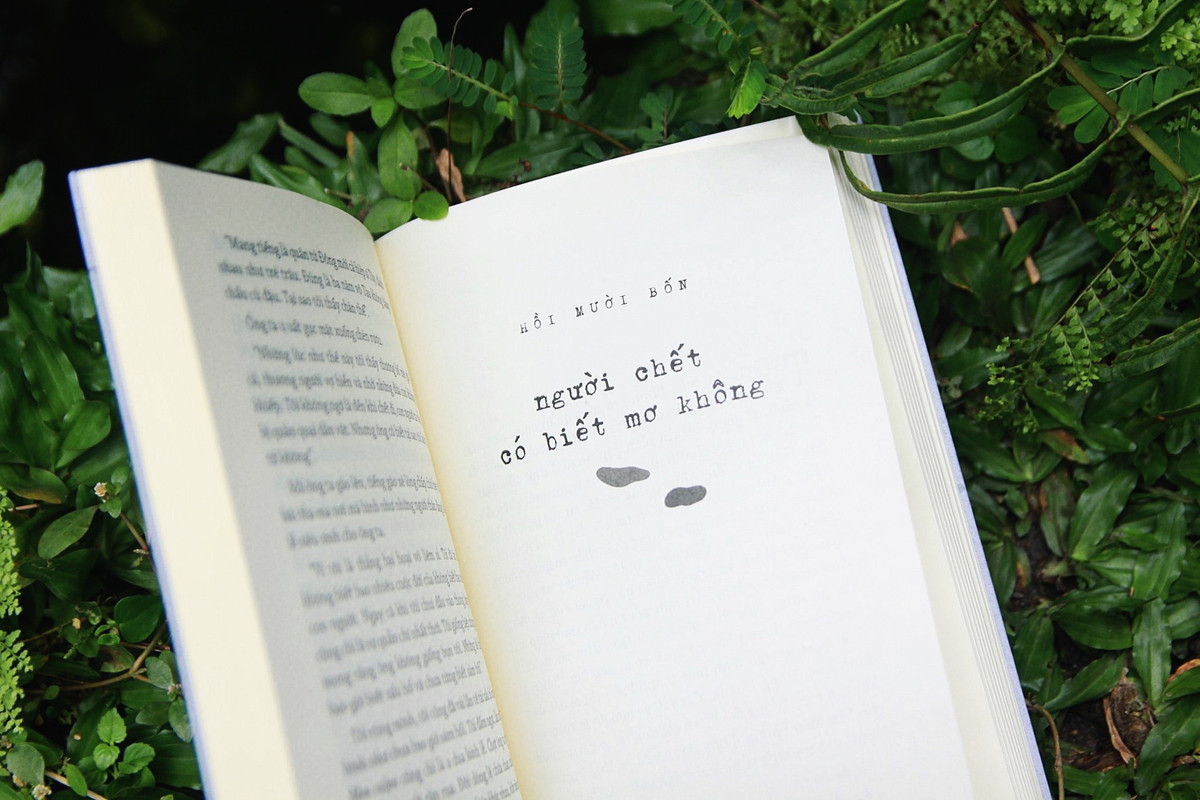 Cuộc chu du giữa hai bờ mơ - thực để dấn sâu vào tiềm thức con người (Ảnh: NXB Trẻ).