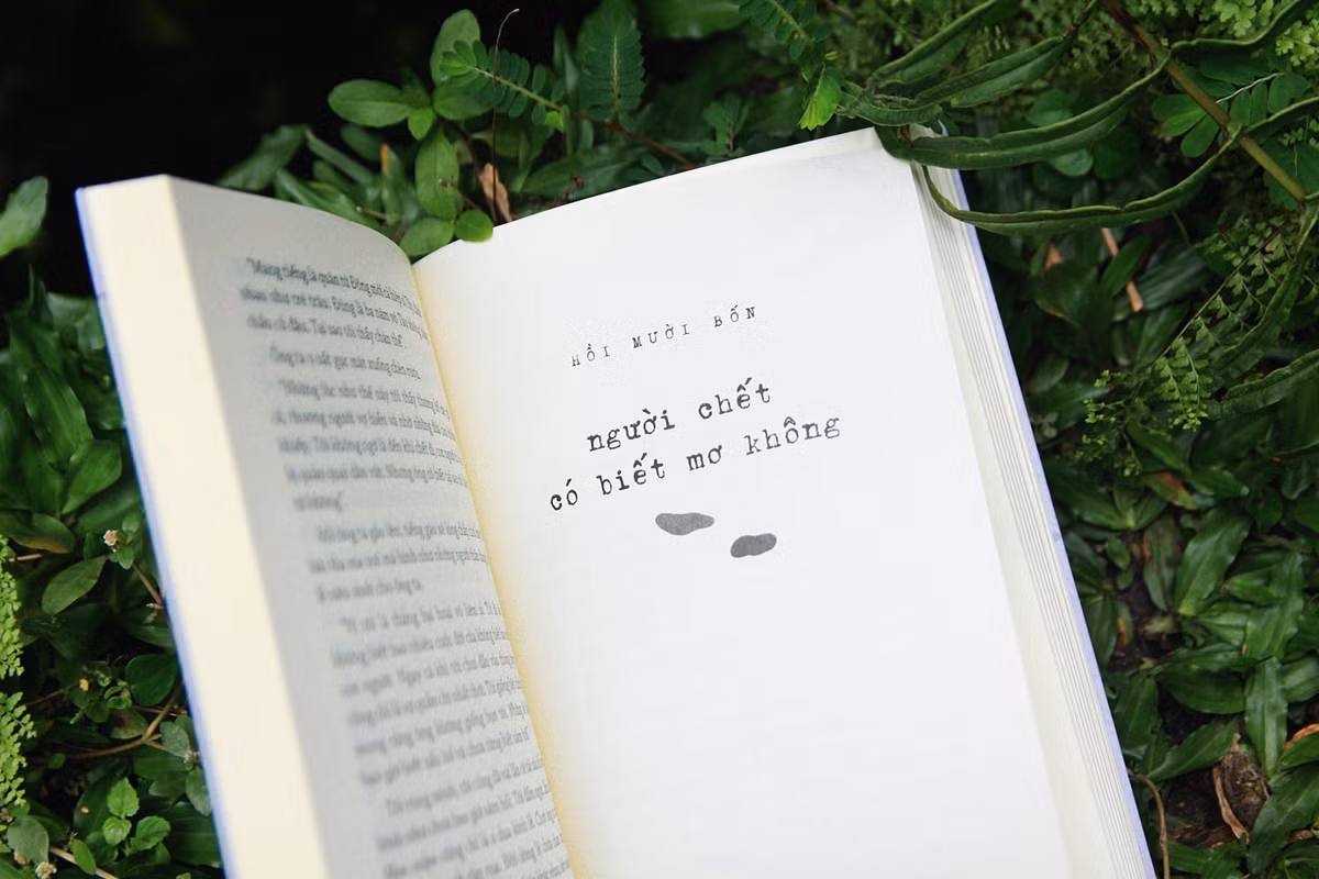 Cuộc chu du giữa hai bờ mơ - thực để dấn sâu vào tiềm thức con người (Ảnh: NXB Trẻ).