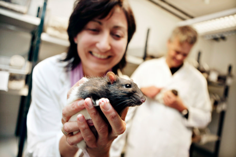 Chuyen tinh tu giang duong dai hoc cua cap doi cung doat Nobel-Hinh-3