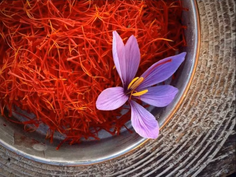 Hoa nghệ tây: Được mệnh danh là “vàng đỏ” Trung Đông bởi Saffron cực kỳ quý hiếm và có sản lượng rất thấp.