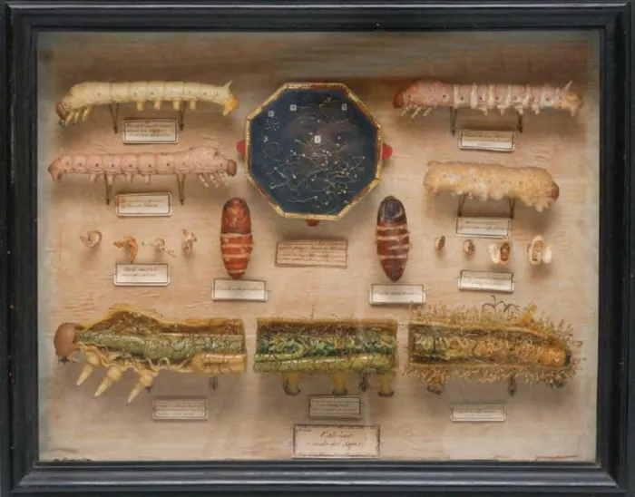 Bi kich bi lang quen cua nha khoa hoc phat hien ra vi sinh vat-Hinh-2