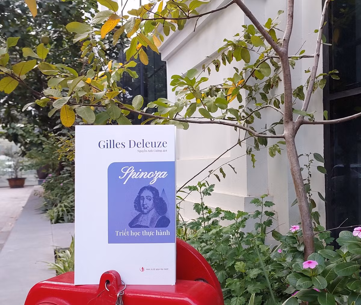 Spinoza - Triet hoc thuc hanh tai lieu quan trong cua triet hoc-Hinh-2